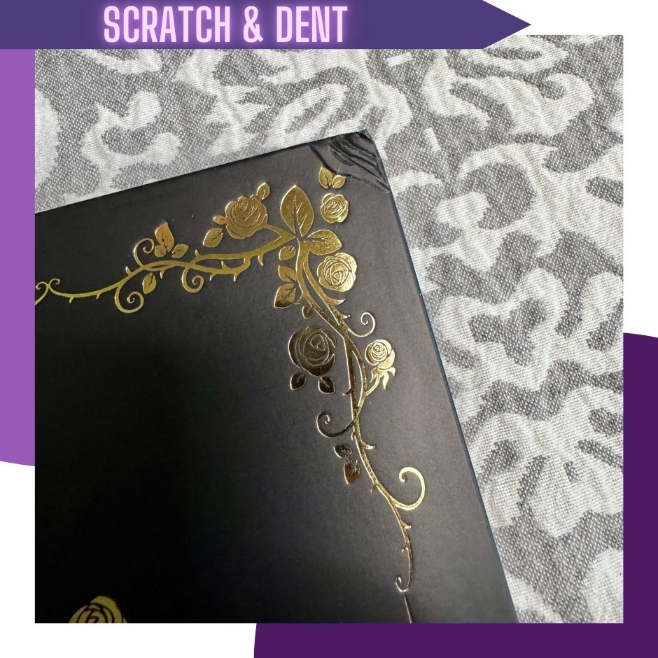 HEALER OF KINGDOMS SET (SE) SCRATCH & DENT